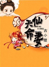 天命仙妻